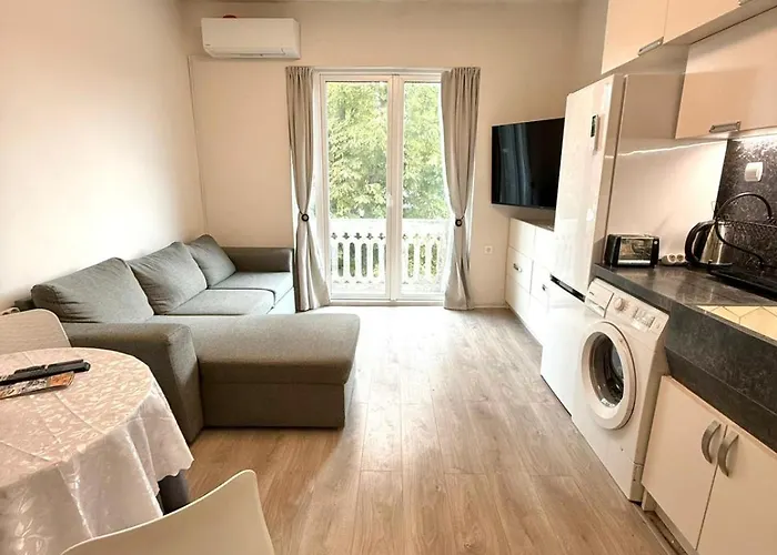 Your - In Front Of The Проживання в сім'ї